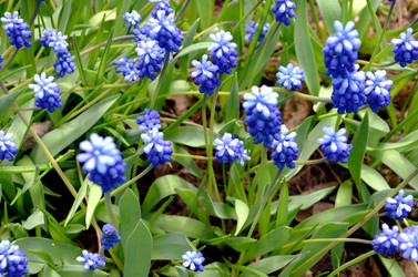 Similar image 22194719