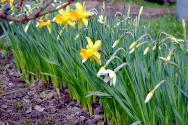 Similar image 22194720