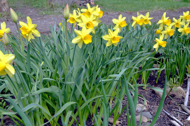 Similar image 22194721