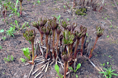 Similar image 22194722