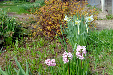 Similar image 22194723