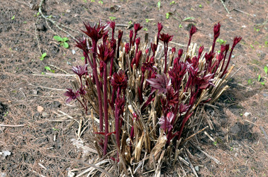 Similar image 22194724