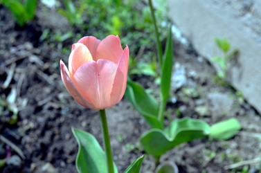 Similar image 22194725