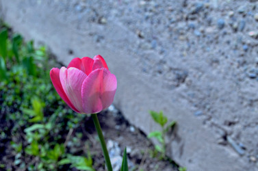 Similar image 22194726