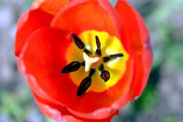 Similar image 22194728