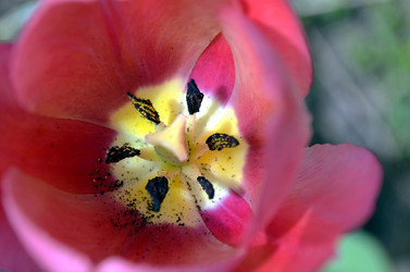 Similar image 22194729