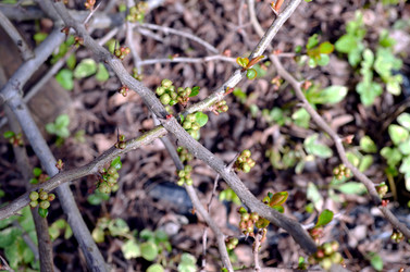 Similar image 22194730