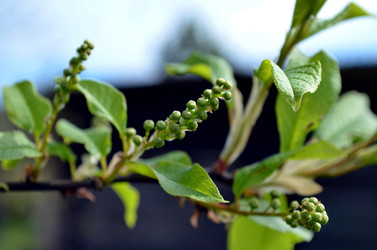 Similar image 22194731