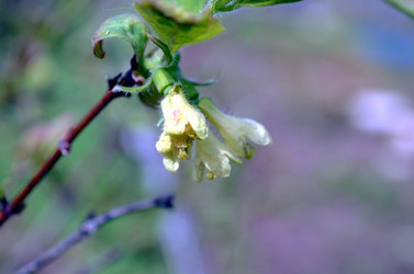 Similar image 22194732