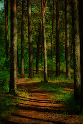 Similar image 22194355