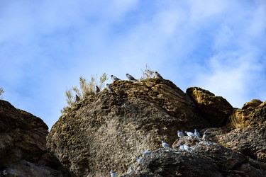 Similar image 22194484