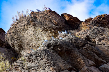 Similar image 22194486