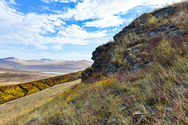 Similar image 22194502