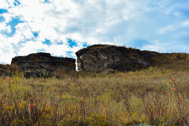 Similar image 22194503