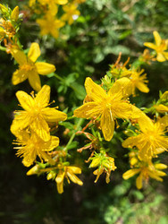 Similar image 22194402