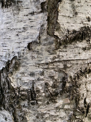 Similar image 22194404