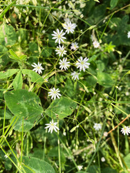 Similar image 22194405