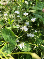 Similar image 22194406