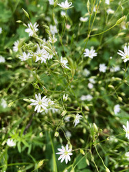 Similar image 22194408