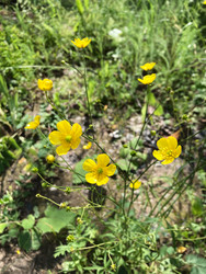 Similar image 22194409