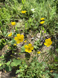 Similar image 22194410