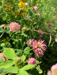 Similar image 22194413