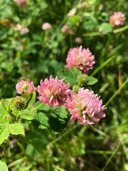 Similar image 22194414