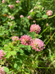 Similar image 22194415