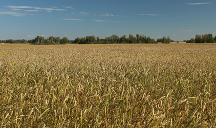 Similar image 22194356