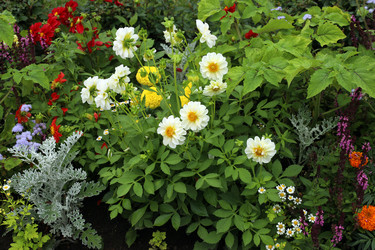 Similar image 22194357