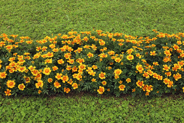 Similar image 22194359