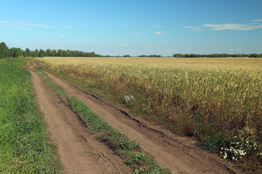 Similar image 22194360