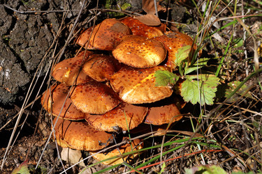 Similar image 22194361