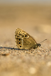 Similar image 22194365