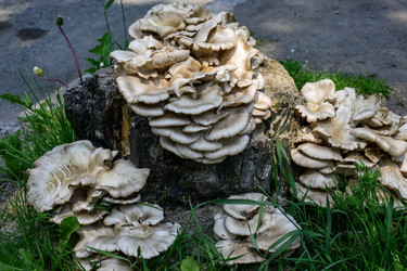 Similar image 22194371