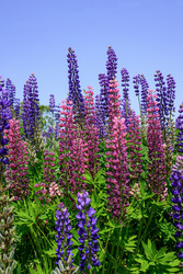 Similar image 22194372