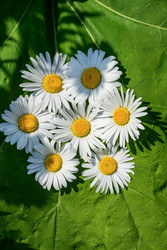 Similar image 22194373