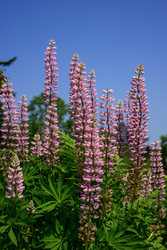 Similar image 22194374