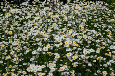 Similar image 22194375