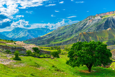 Similar image 22194815