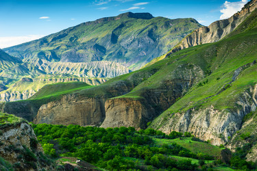 Similar image 22194817