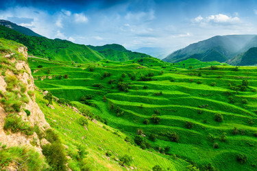 Similar image 22194836