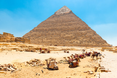 Similar image 22194840