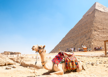 Similar image 22194845