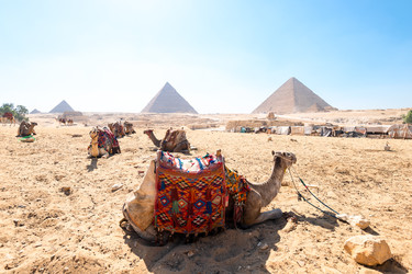 Similar image 22194848