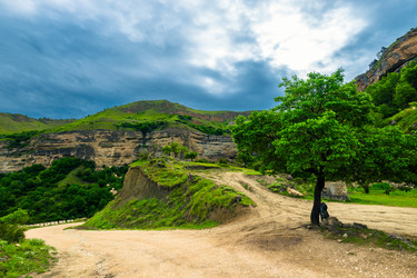 Similar image 22194753