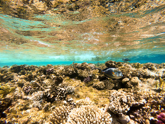 Similar image 22194771