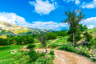 Similar image 22194785