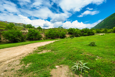 Similar image 22194829