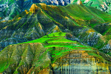 Similar image 22194831